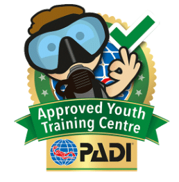 PADI Seal Team Course Part One (8-12 years-old), photo 3